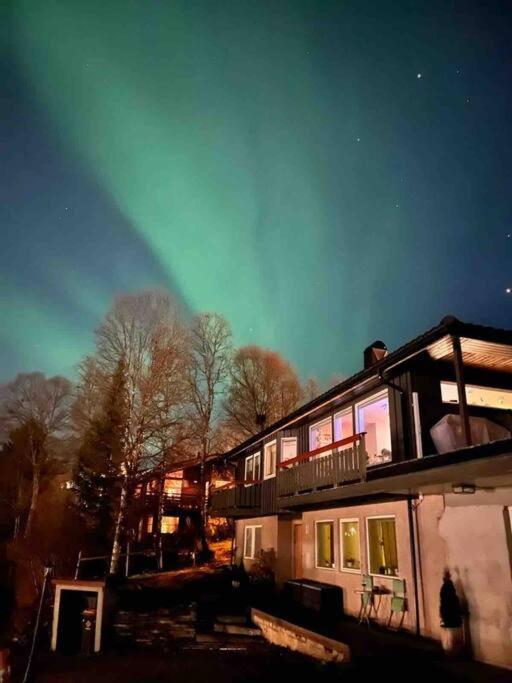 Cosy Flat Near Cable Car And The Arctic Cathedral Lägenhet Tromsø Exteriör bild